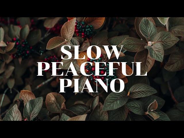 Peaceful Piano Music For Studying - slow background music