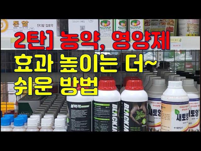 2탄 농약영양제 효과높이는 더쉬운방법