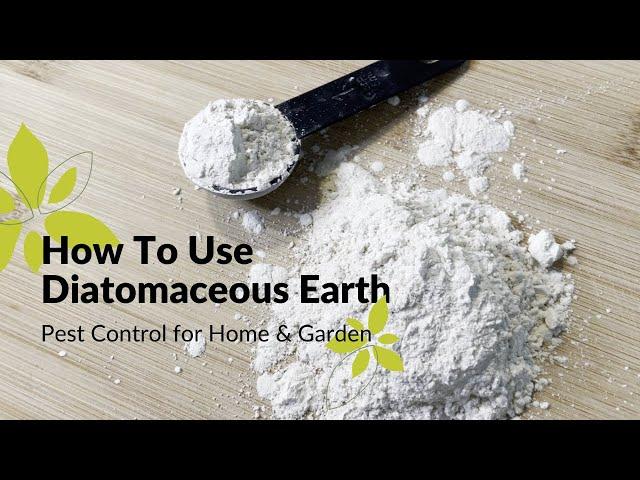 How To Use Diatomaceous Earth | Home & Garden Pest Control