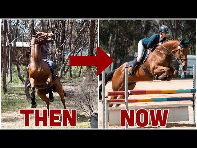 FROM RACEHORSE TO RIDING HORSE // Rocky's 1 year progress - The good, the bad, the very ugly...