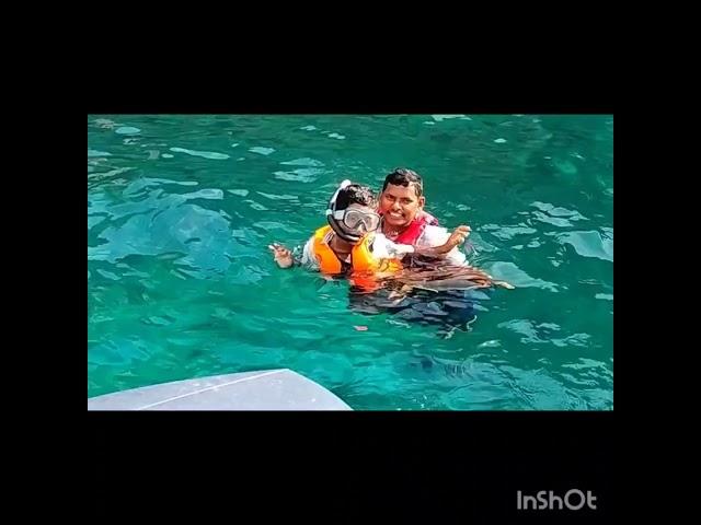 Scuba Diving ️