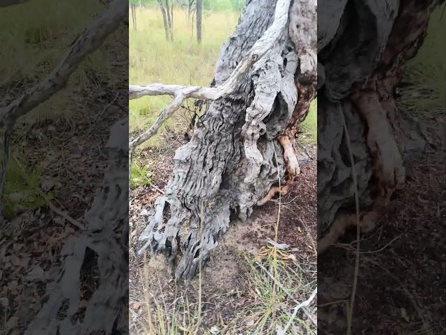 GumTree Resiliency #gumtree