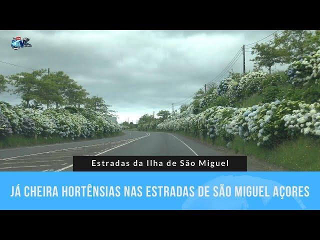 Pelas Estradas de São Miguel Já Cheira a Hortênsias 10 06 2024