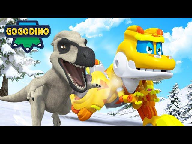 GoGoDino | Best Dino Adventures w/ Locky & Nanuqsaurus, Fasolasuchus, Maiasaura | Cartoon | Toys