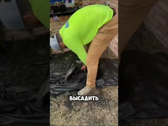 Клумба своими руками