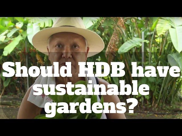 Should HDB have sustainable gardens? | Gentle Warrior | Happy-TV