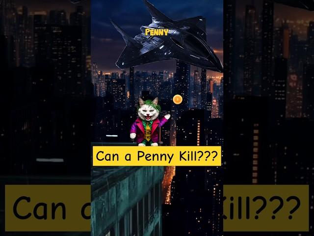Can a penny Kill Someone? 🪙️   #facts #funny #cat #fact