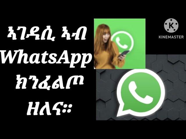 ተጠቀምቲ #WhatsApp ክንፈልጦ ዘለና ኣገዳሲ ነገር።