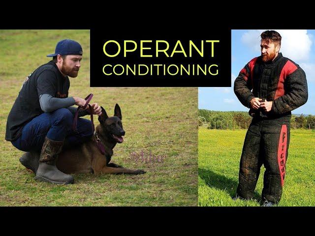 CORRECTING HIGH DRIVE WORKING DOGS | OPERANT CONDITIONING | Canine Paradigm Host Pat Stuart