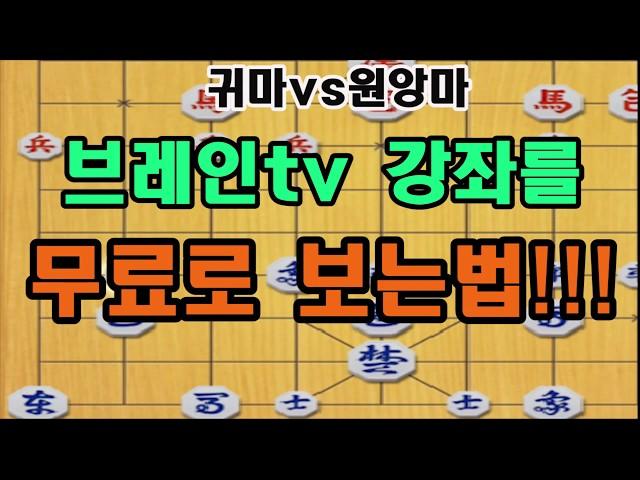 공개합니다!! 브레인tv 강좌를 무료로 보는법! (장기)