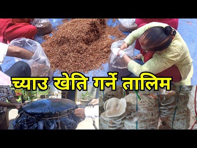 च्याउ  खेती गर्ने तरिका | Mushroom farming in Nepal | Growing Mushrooms step by stem full Training