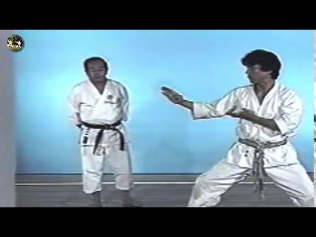 SHOTOKAN karate - The Nakayama - Empi Kata and Bunkai (Ката Эмпи)