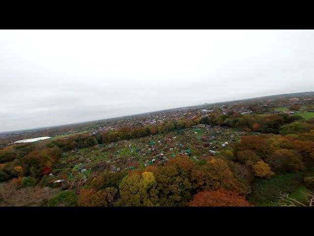 Autumn Colours - Cannon Hill - SW London