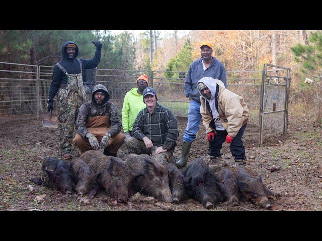 Trapping wild hogs with the brotherhood. Hilarious time!!!