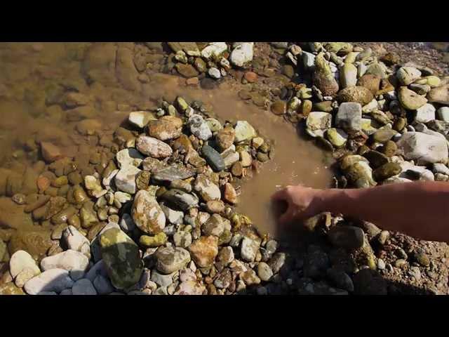 Survival Fish Trap using just one hand.