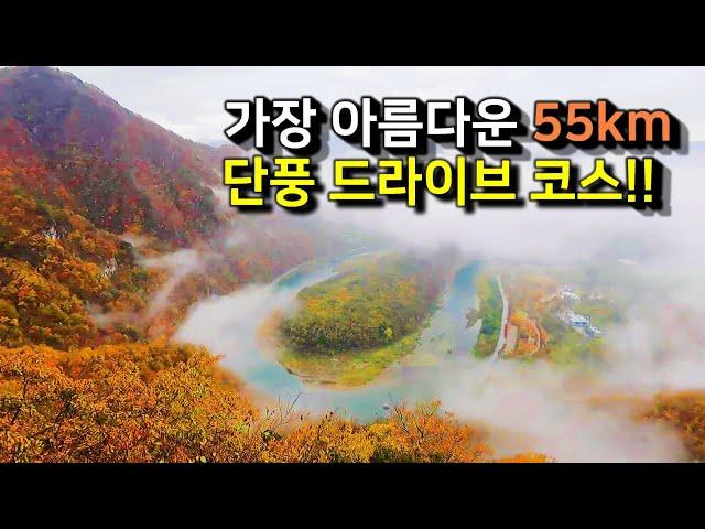 전국 제일의 55km 단풍 드라이브 코스를 소개합니다. 강원도 정선의 동강과 계곡을 따라 달리는 내내 탄성을 자아냅니다.