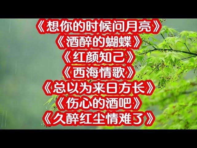 143. 藏舞《想你的时候问月亮》《酒醉的蝴蝶》《红颜知己》《西海情歌》