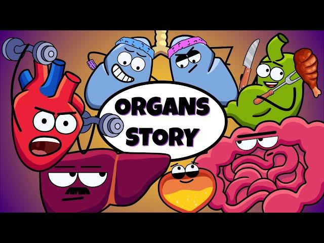 Daily Life of Human Organs | Organismo