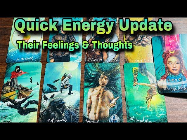 Hindi-Urdu 🩵 Quick Energy Update 🩵 Their Feelings & Thoughts 🩵 Timeless Tarot 🩵