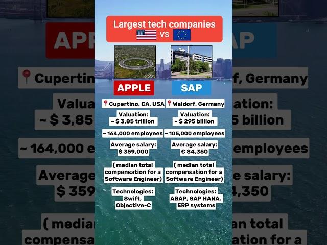 Apple vs SAP #apple #sap #usa #germany #workingermany #workinusa #california  #faang #career #tech