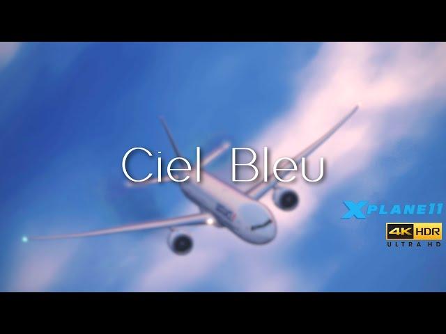 XP11 Film 2020 - Ciel Bleu | 4K