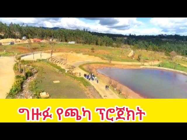 ግዙፉ የጫካ ፕሮጀክት #addis_ababa_walking_tour#Tiru Travel#AddisWalta-AW#zewari walk tour