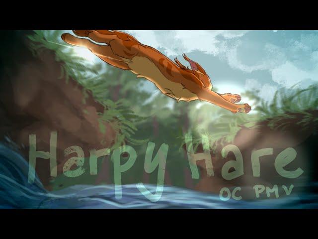 Harpy Hare // warriors OC PMV