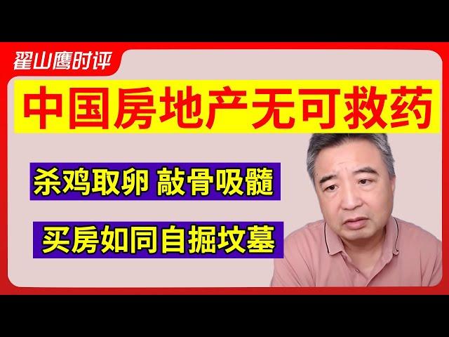 翟山鹰：中国房地产无可救药 | 杀鸡取卵 敲骨吸髓 | 买房如同自掘坟墓 #翟山鹰 #中国房地产崩盘