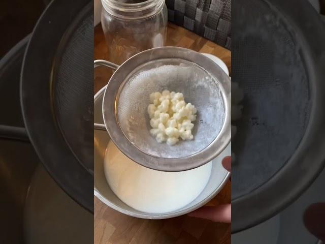 Making Kefir at Home is Easy!!! #largefamily #kefir #homemade #healthyfood