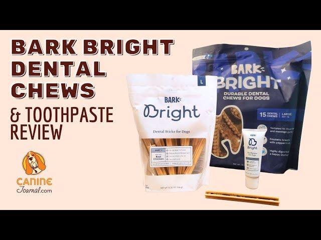 BARK Bright Dental Review