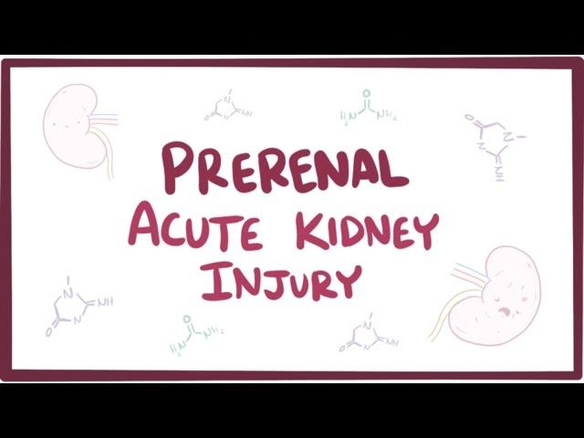 Prerenal acute kidney injury (acute renal failure) - causes, symptoms & pathology