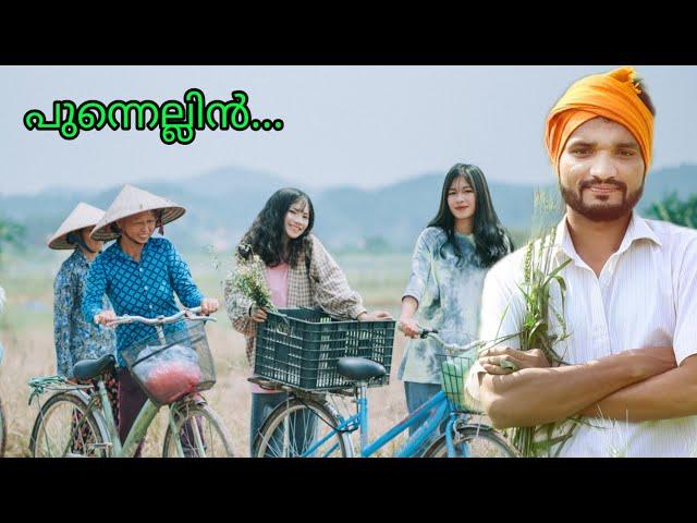 പുന്നെല്ലിൻ punnellin evergreen feelgood malayalam song by വിനോദ് കുളത്തുപ്പുഴ vtmedia