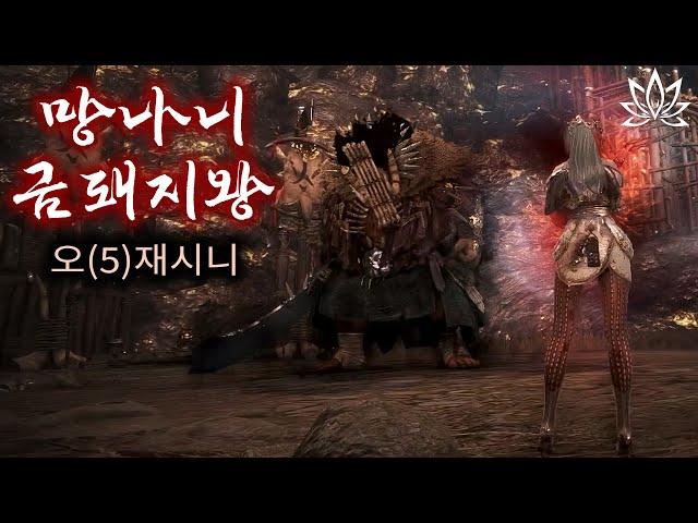 검은사막(BDO) 망나니 '금돼지왕' 오(5)재시니 (아침의 나라)