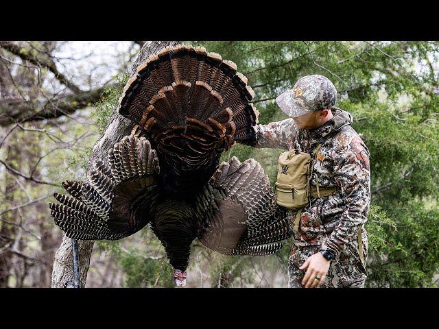 BEST TURKEY HUNTING EVER? | BIRD DOWN!