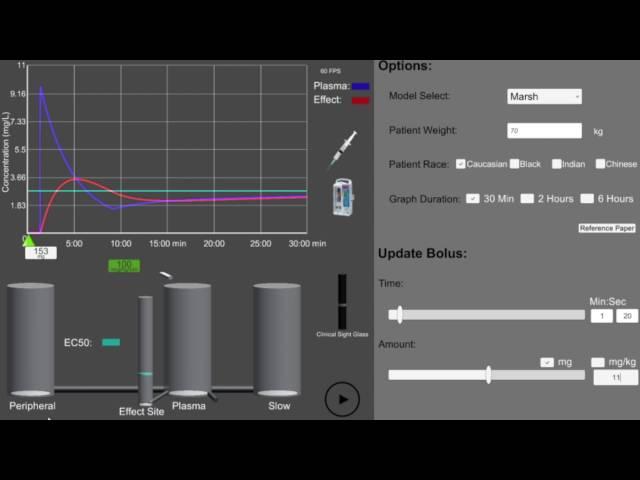 Race-Specific Propofol Model Simulation Demo