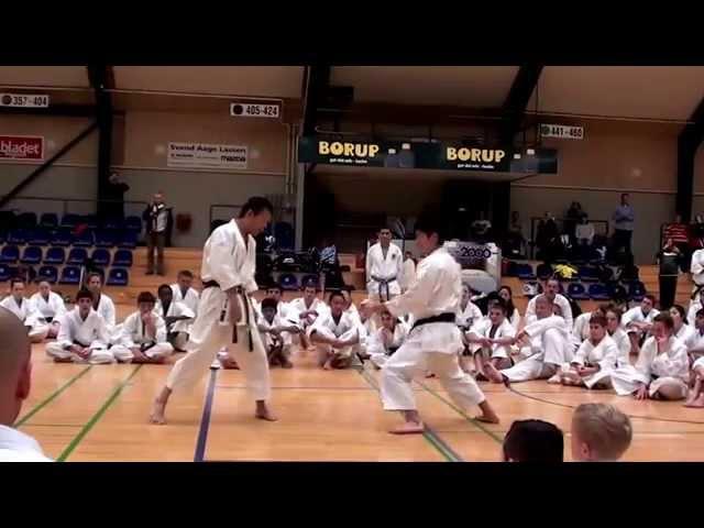 Sensei Yahara In Action - Denmark 2013