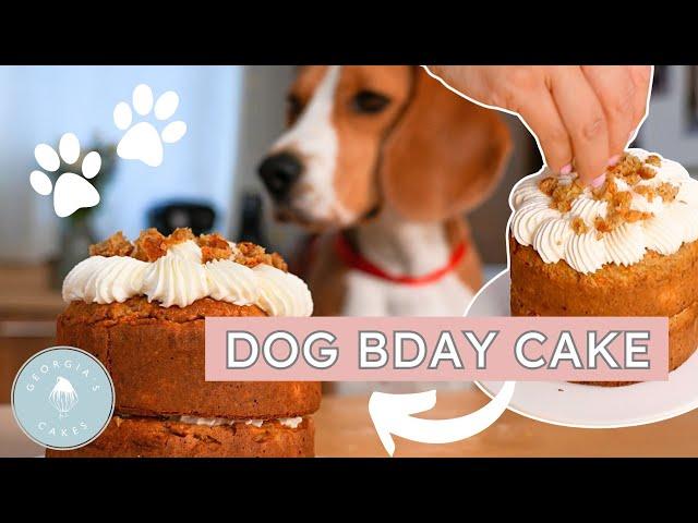 I Made My DOG A Birthday Cake! | Georgia's Cakes