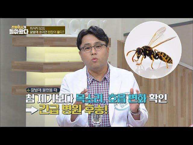 [휴가철 피서지 SOS] 말벌에 쏘이면 된장이 답(?!) 진짜 의사가 돌아왔다 13회