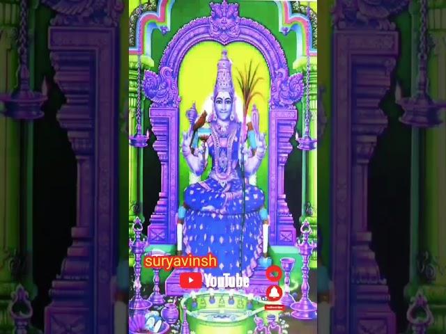 Amman song tamil  | morning positive energy devotional songs | devotional songs | @Suryavinsh
