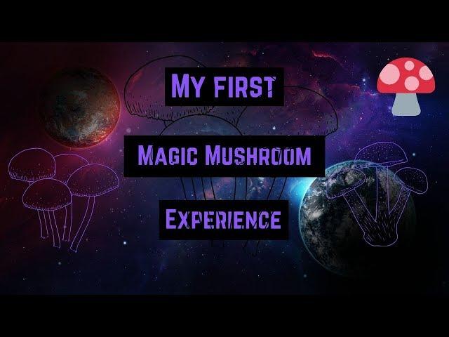 My First Time-Psilocybin Mushroom Trip Report (2g)