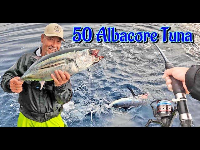 50 Albacore Tuna | Bloodbath 60 miles Offshore