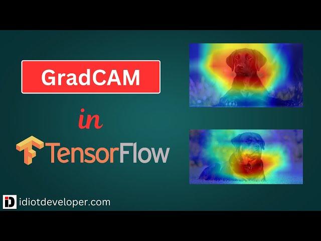 GradCAM with TensorFlow - Interpreting Neural Networks with Class Activation Maps