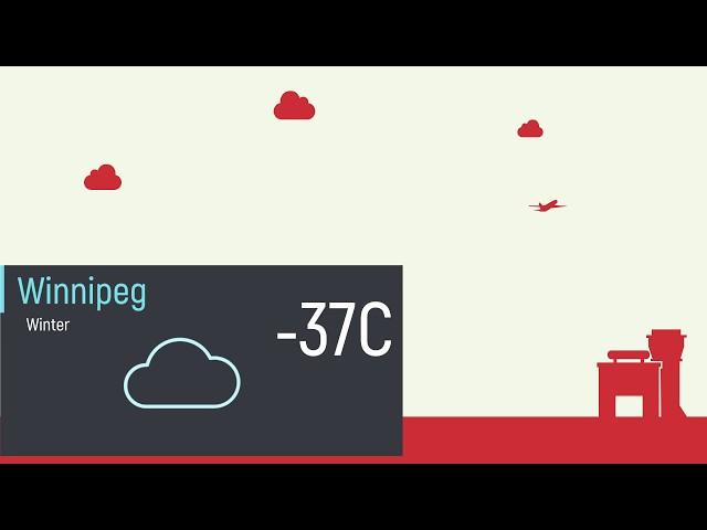 Things to do while visiting Winnipeg in the winter