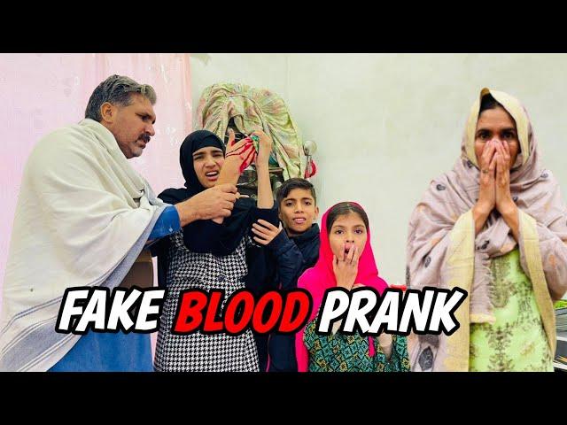 Fake Blood Prank With My Family  || Sab Ghar Wale Dar Gaye  || Happy Punjabi Family