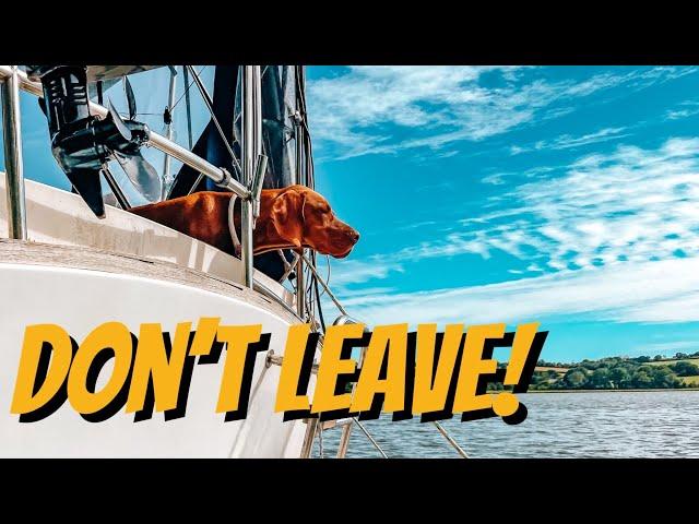 Having to leave Hank behind  - Sailing Cadoha (S4 Ep9)