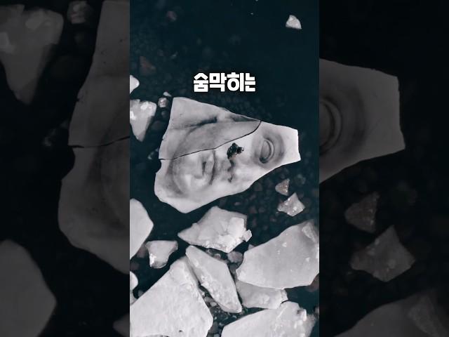 거대한 자연이 삼켜버린 초대형 예술 작품