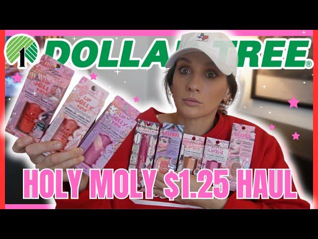 JACKPOT! DOLLAR TREE HAUL | Brand New Arrivals for $1.25 THAT ARE JAW DROPPING