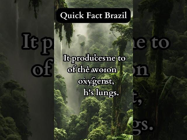 Quick Facts Brazil #quickfacts #travelfacts #youtubeshorts