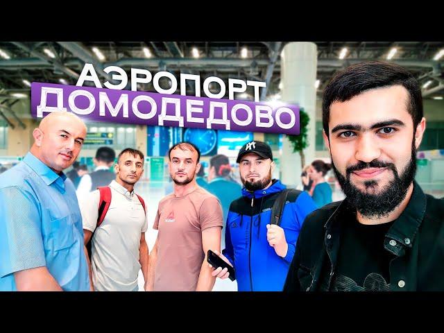 Аэропорт Домодедово / Тафтиши Ҳуҷат / 23.07.2023 / Абдулло Тч