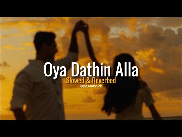 Oya Dathin Alla (ඔය දෑතින් අල්ලා) - ( Slowed + Reverb ) @Shavinofficial